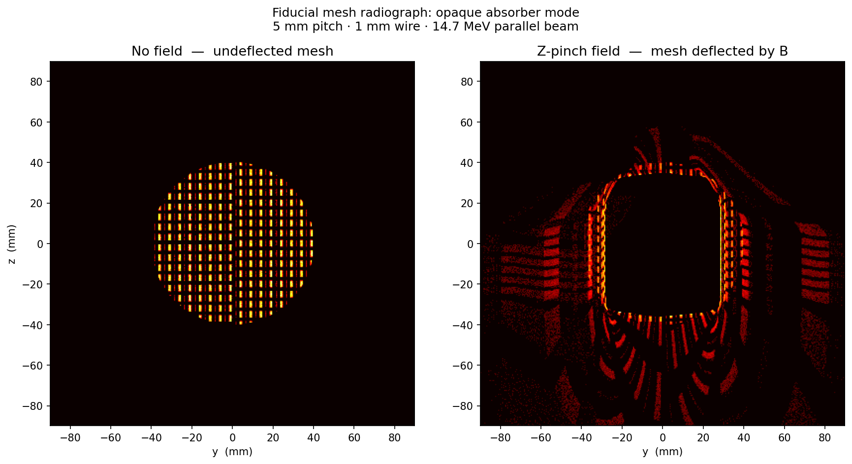 Mesh Radiographic Validation - prad